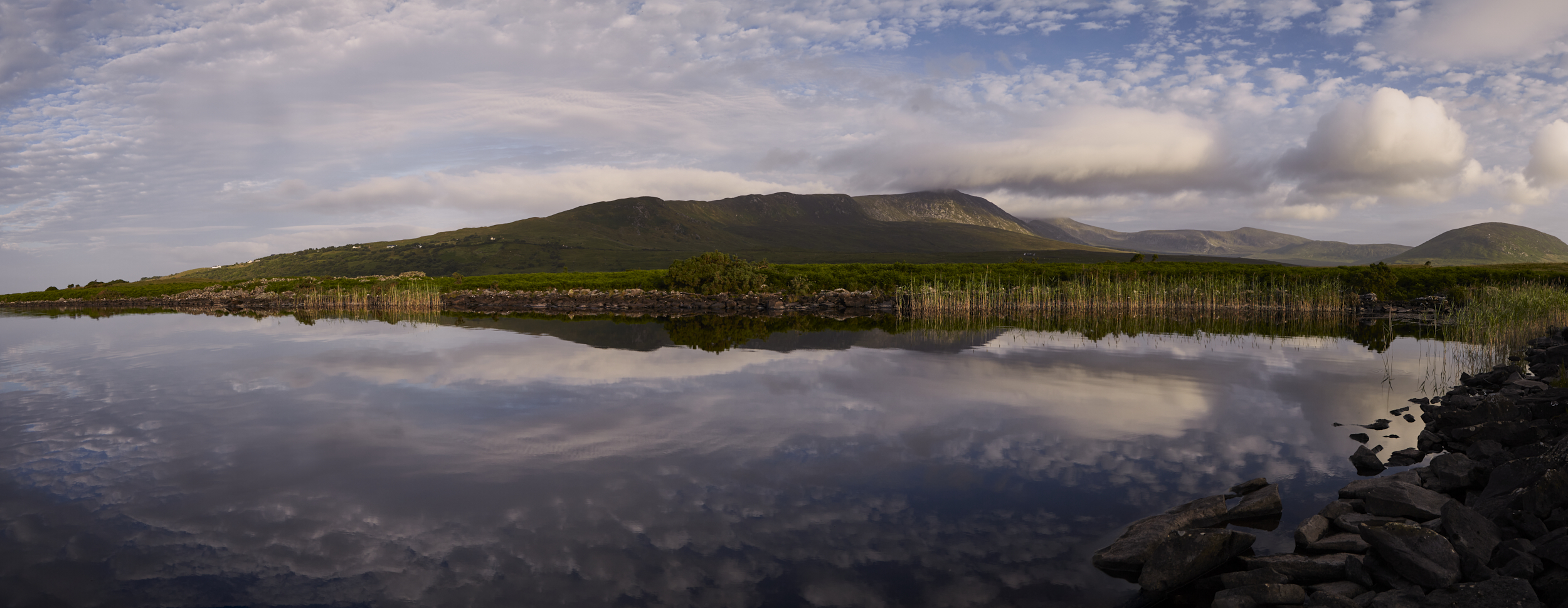 WS_140703_mayo_0264_P